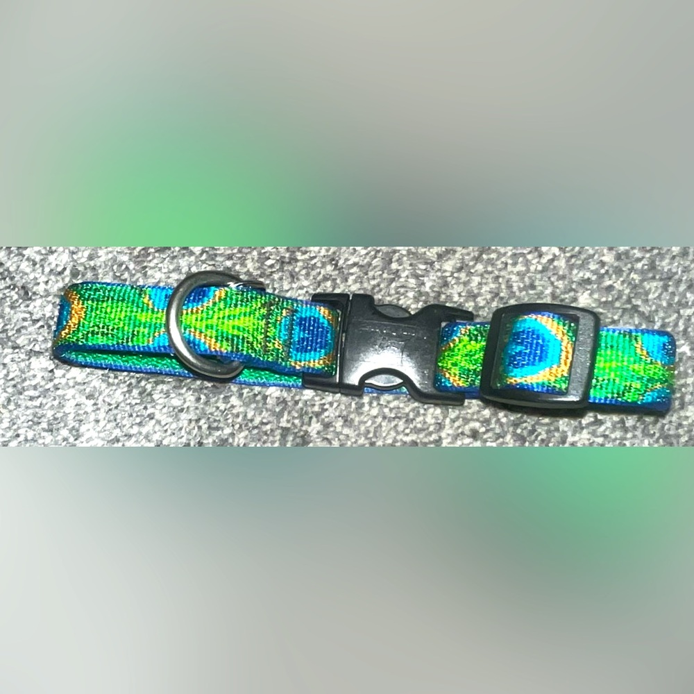 🎉HOST PICK 🎉 *BRAND NEW/ NEVER USED* Green & Blue Peacock Dogs Collar